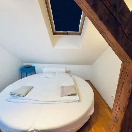 Attic 15 Min To Charles Bridge